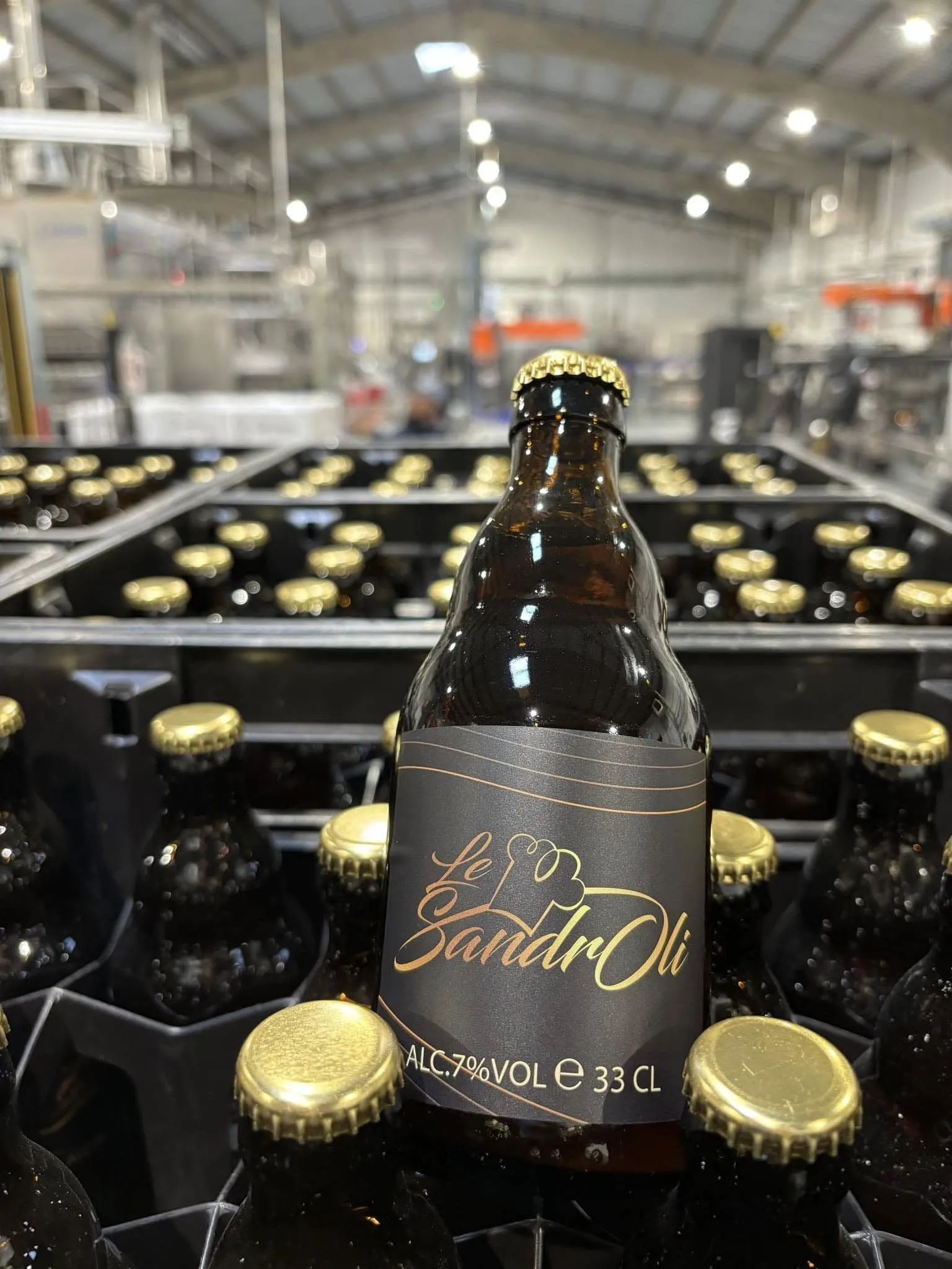Bière Le Sandroli — développement