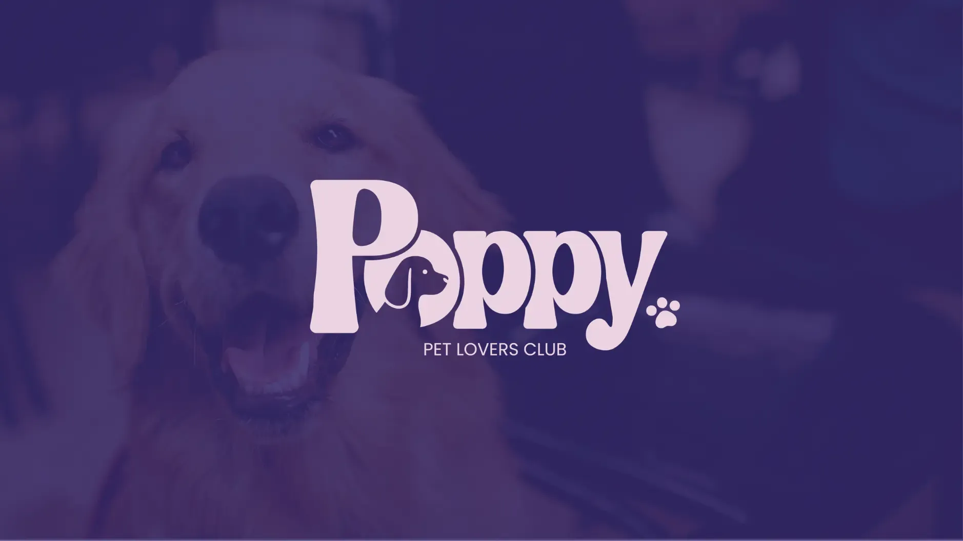 Poppy — projet